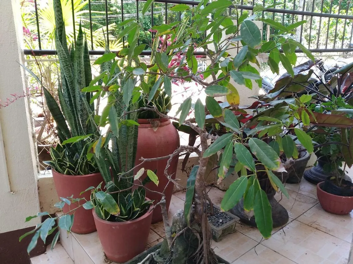 Aramara Resort Libaong